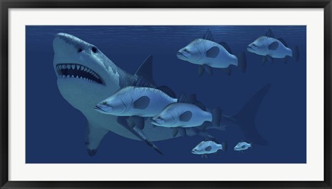 Framed school of fish encounter a monstrous Megalodon shark Print