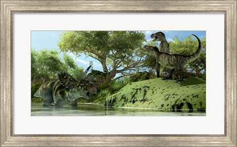Framed Confrontation between two Tyrannosaurus Rex and a Coahuilaceratops Print
