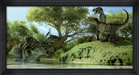 Framed Confrontation between two Tyrannosaurus Rex and a Coahuilaceratops Print
