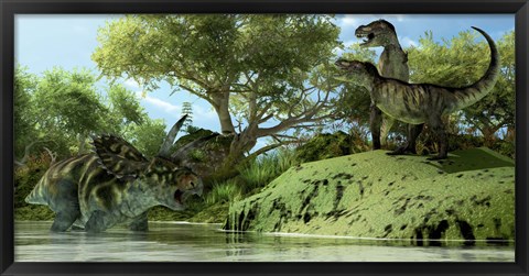 Framed Confrontation between two Tyrannosaurus Rex and a Coahuilaceratops Print