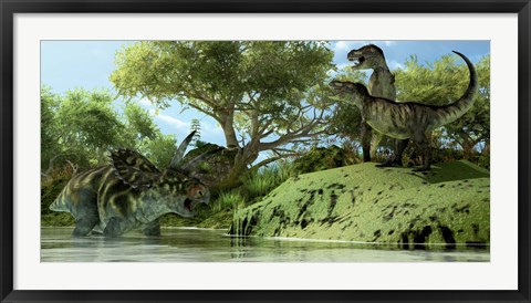 Framed Confrontation between two Tyrannosaurus Rex and a Coahuilaceratops Print