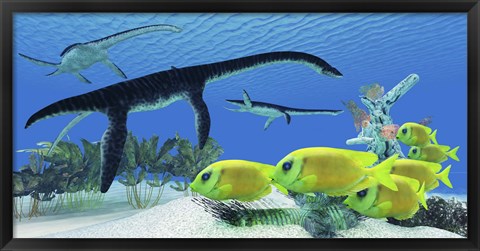 Framed school of Lemonpeel Angelfish swim by Plesiosaurus dinosaurs Print