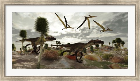 Framed Two Utahraptors hunt for prey as pterosaurs fly above Print