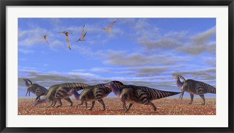 Framed herd of Parasaurolophus dinosaurs Print