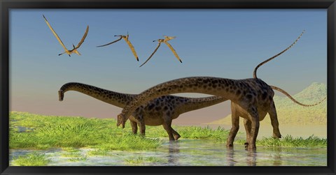 Framed flock of Pterosaur birds fly over two Diplodocus dinosaurs Print