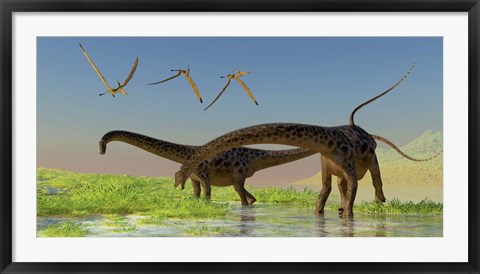 Framed flock of Pterosaur birds fly over two Diplodocus dinosaurs Print