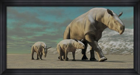 Framed Paraceratherium mother with two twin calves walks along a desert Print