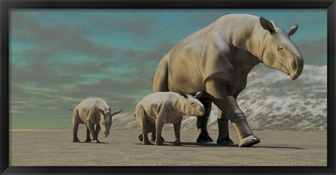 Framed Paraceratherium mother with two twin calves walks along a desert Print