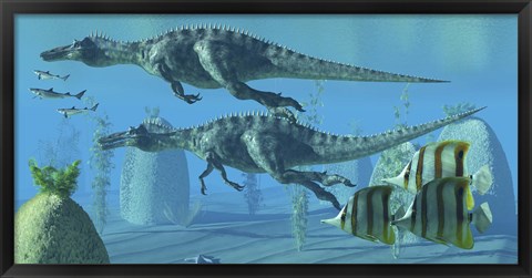 Framed Two Suchomimus dinosaurs search for big fish prey underwater Print