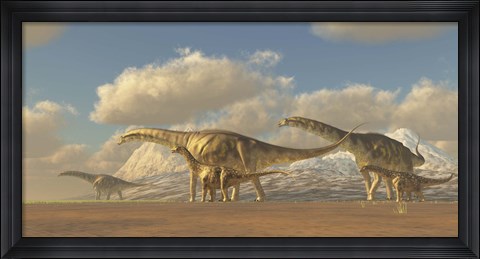 Framed herd of Argentinosaurus dinosaurs Print