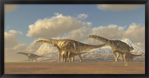 Framed herd of Argentinosaurus dinosaurs Print