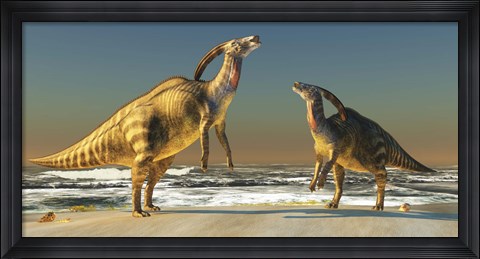 Framed Two Parasaurolophus dinosaurs bellow at each other Print