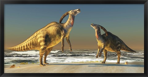 Framed Two Parasaurolophus dinosaurs bellow at each other Print
