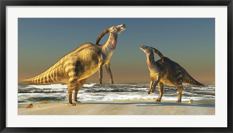 Framed Two Parasaurolophus dinosaurs bellow at each other Print