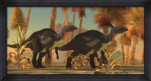 Framed Camptosaurus dinosaurs wander through a prehistoric jungle Print