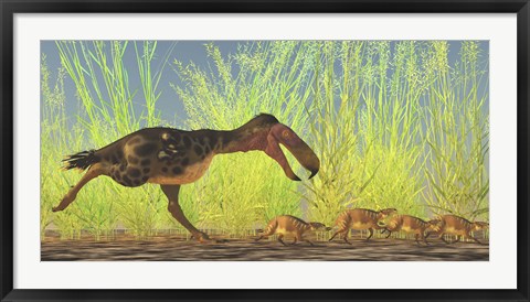 Framed large Kalenken flightless terror bird hunting smaller Eurohippus Print