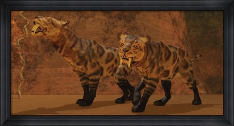 Framed Two Smilodon cats find protection in a vast cave system Print