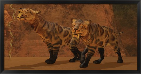 Framed Two Smilodon cats find protection in a vast cave system Print