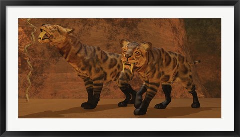 Framed Two Smilodon cats find protection in a vast cave system Print