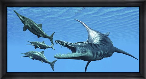 Framed Liopleurodon reptile hunting Ichthyosaurus dinosaurs in Jurassic seas Print