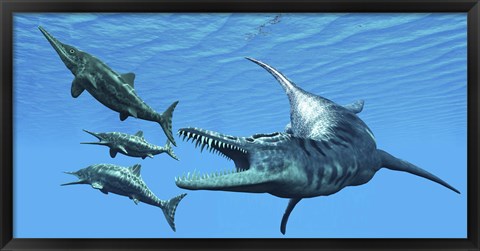 Framed Liopleurodon reptile hunting Ichthyosaurus dinosaurs in Jurassic seas Print