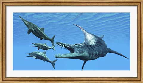 Framed Liopleurodon reptile hunting Ichthyosaurus dinosaurs in Jurassic seas Print