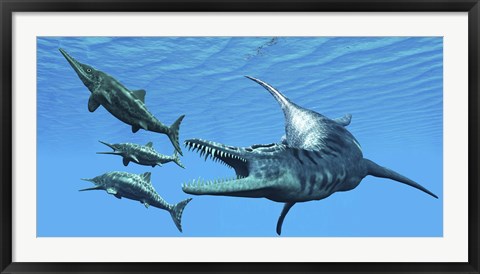 Framed Liopleurodon reptile hunting Ichthyosaurus dinosaurs in Jurassic seas Print