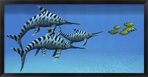 Framed group of fast swimming Eurhinosaurus marine reptiles Print