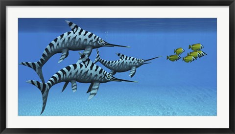 Framed group of fast swimming Eurhinosaurus marine reptiles Print