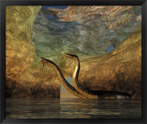 Framed Plesiosaurus captures a Eurhinosaurus marine reptile in a sea cave Print