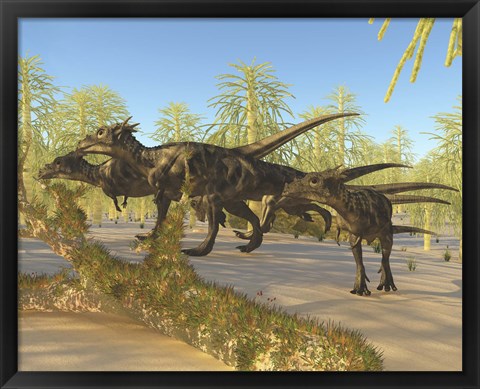 Framed herd of Dracorex dinosaurs walk through a carboniferous forest Print