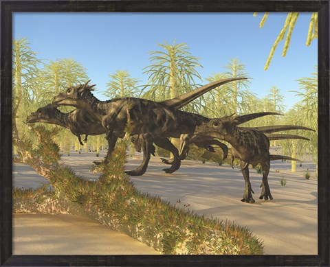 Framed herd of Dracorex dinosaurs walk through a carboniferous forest Print
