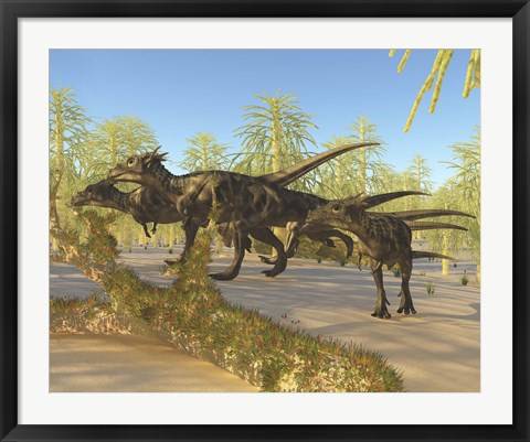 Framed herd of Dracorex dinosaurs walk through a carboniferous forest Print