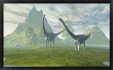 Framed Diplodocus dinosaurs walk together in the afternoon in the prehistoric age Print