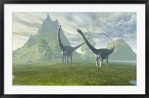 Framed Diplodocus dinosaurs walk together in the afternoon in the prehistoric age Print