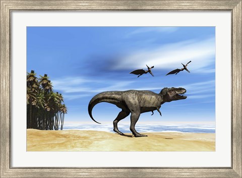 Framed Pterodactyls fly over a beastly Tyrannosaurus Rex Print