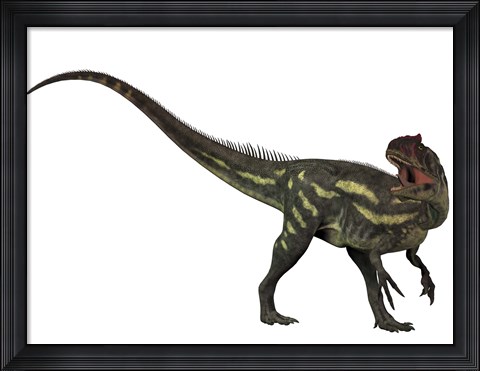 Framed Allosaurus, a prehistoric era dinosaur Print