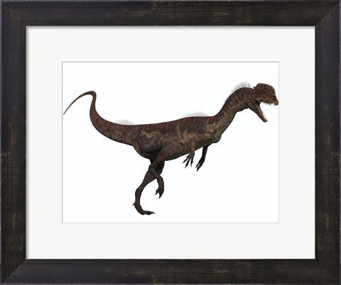 Framed Dilophosaurus, a predatory dinosaur from the Jurassic period Print