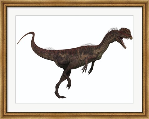 Framed Dilophosaurus, a predatory dinosaur from the Jurassic period Print