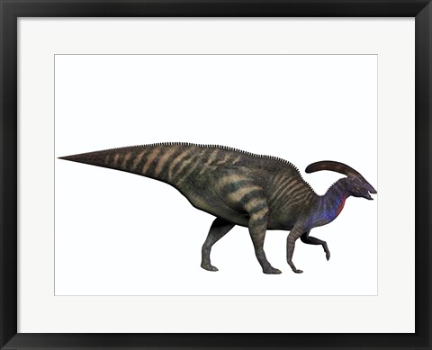 Framed Parasaurolophus, a herbivorous dinosaur from the Cretaceous period Print