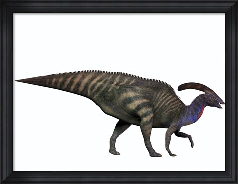 Framed Parasaurolophus, a herbivorous dinosaur from the Cretaceous period Print