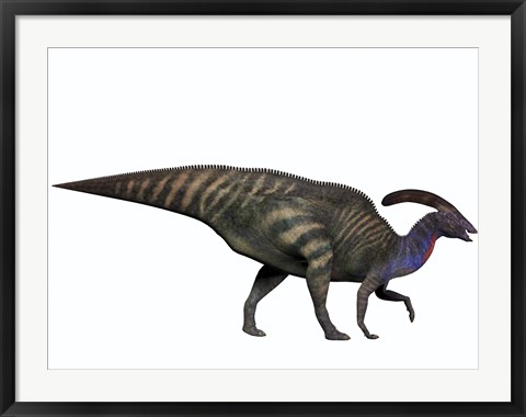 Framed Parasaurolophus, a herbivorous dinosaur from the Cretaceous period Print