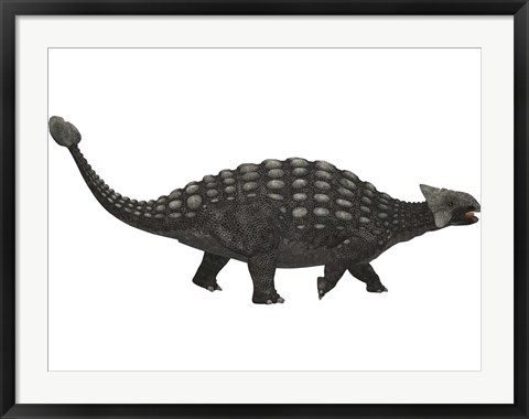 Framed Ankylosaurus, an armored dinosaur from the Cretaceous Period Print