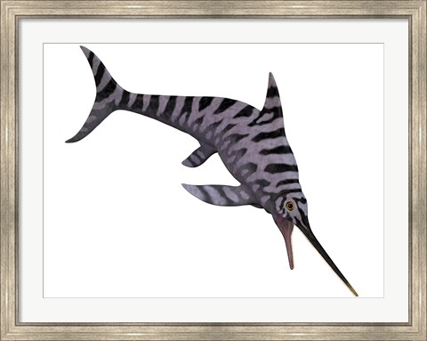 Framed Eurhinosaurus, an extinct genus of ichthyosaur Print