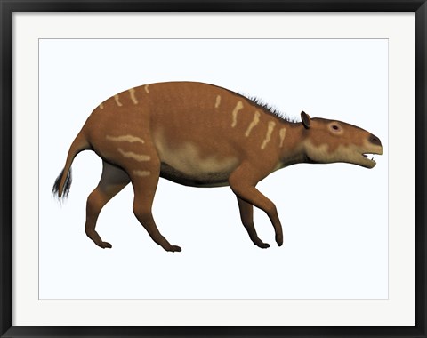Framed Eurohippus, an extinct ancestor of the modern horse Print