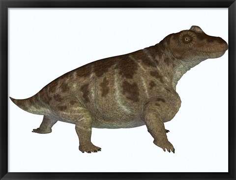 Framed Keratocephalus, a semi-aquatic dinosaur from the Permian Age Print