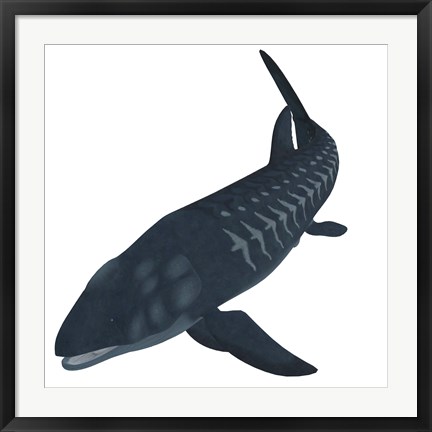 Framed Leedsichthys, an extinct bony fish from the Mesozoic Era Print