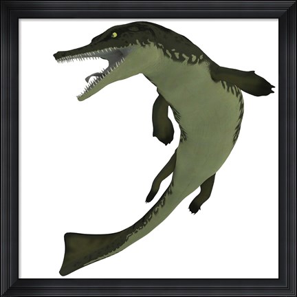 Framed Metriorhynchus, an extinct genus of crocodyliform from the Jurassic Period Print