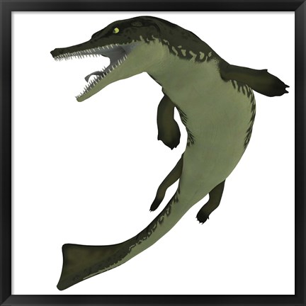 Framed Metriorhynchus, an extinct genus of crocodyliform from the Jurassic Period Print