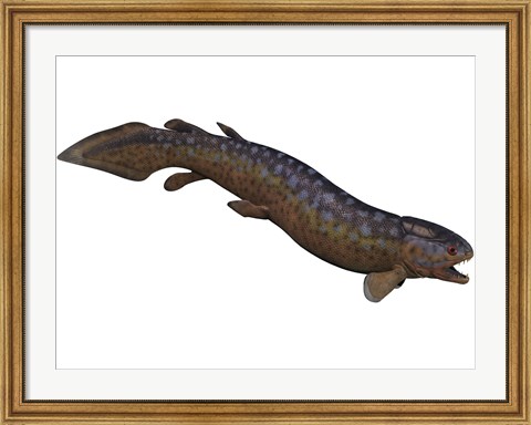 Framed Rhizodus, an extinct predatory lobe-finned fish Print